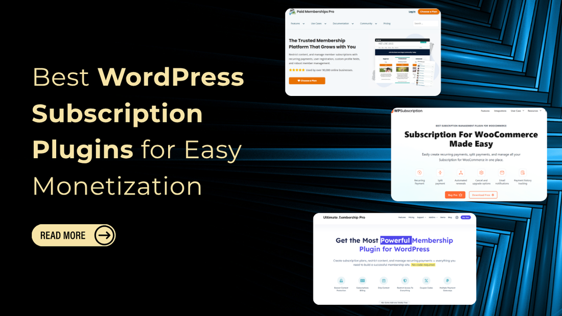 WordPress Subscription Plugins 